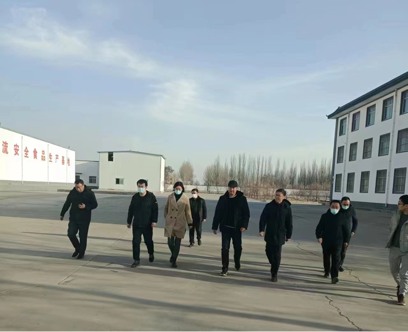 石嘴山市副市長、惠農(nóng)區(qū)委書記王宇翔蒞臨寧夏興康恒潤農(nóng)業(yè)科技發(fā)展有限公司調(diào)研