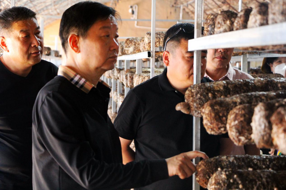 合作共贏 優(yōu)勢互補(bǔ) 打造菌菇產(chǎn)業(yè)新高地——岳氏集團(tuán)董事長岳平安一行到大武口區(qū)菌菇產(chǎn)業(yè)園交流考察