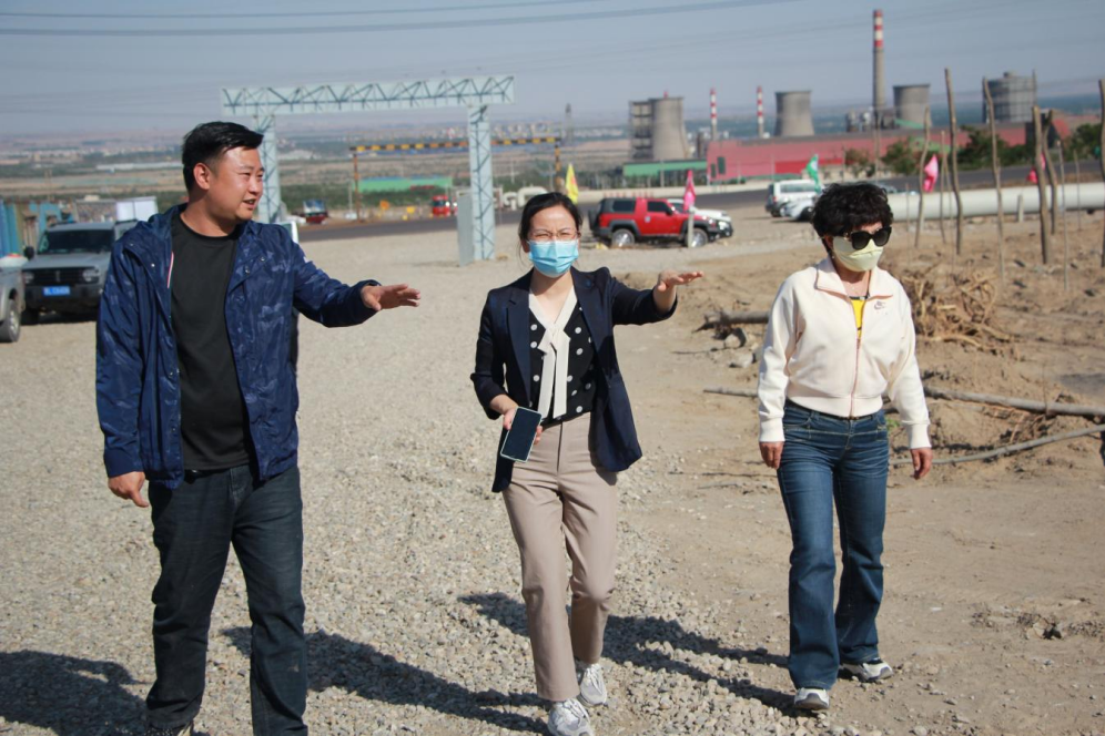 石嘴山市農業(yè)農村局副局長徐永霞、農經中心主任王曉斌一行蒞臨基地檢查指導